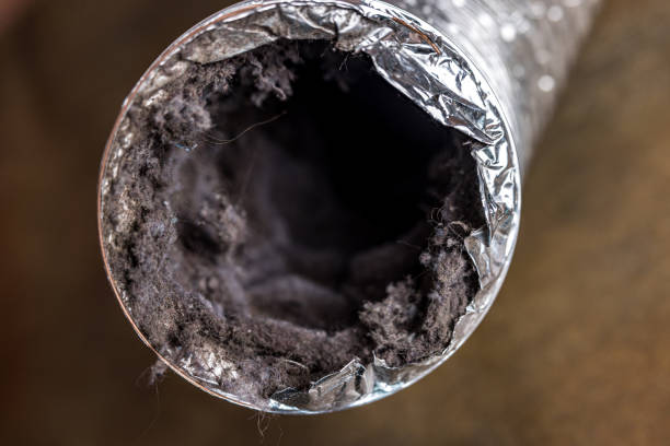 Best HVAC Duct Inspection Services  in Iowa Falls, IA