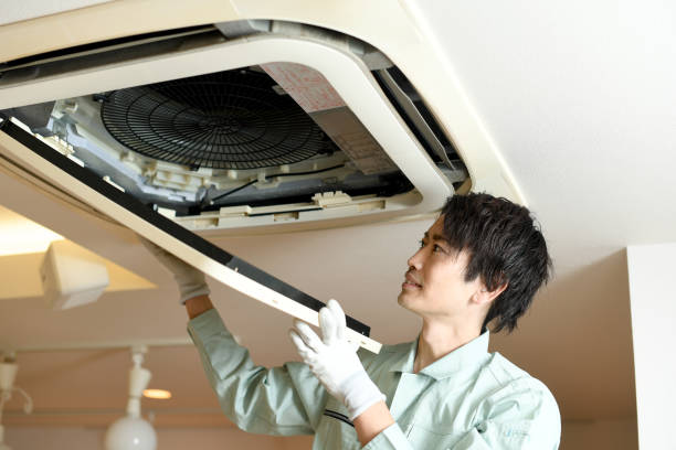 Best Air Duct Cleaning Near Me  in Iowa Falls, IA