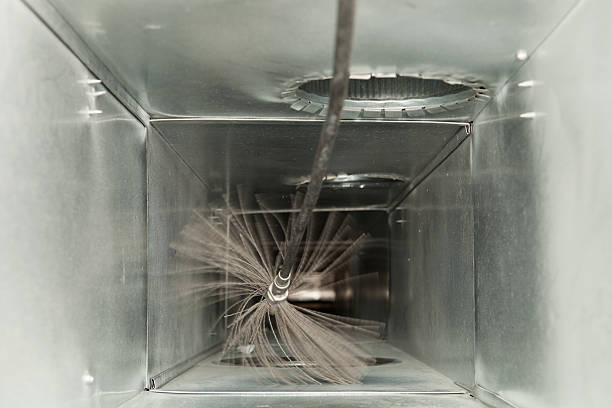 Best Affordable Duct Cleaning Services  in Iowa Falls, IA