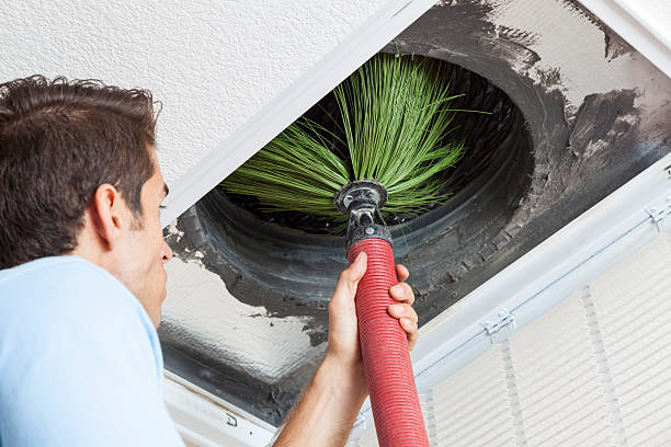 Best Home Air Vent Cleaning  in Iowa Falls, IA